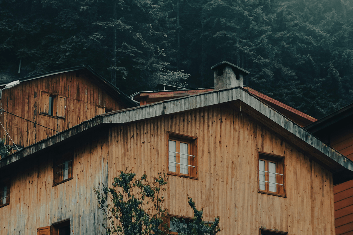 MINI Rotalar: Trabzon’da Doğanın Ritmini Yakalamak | MINI Türkiye